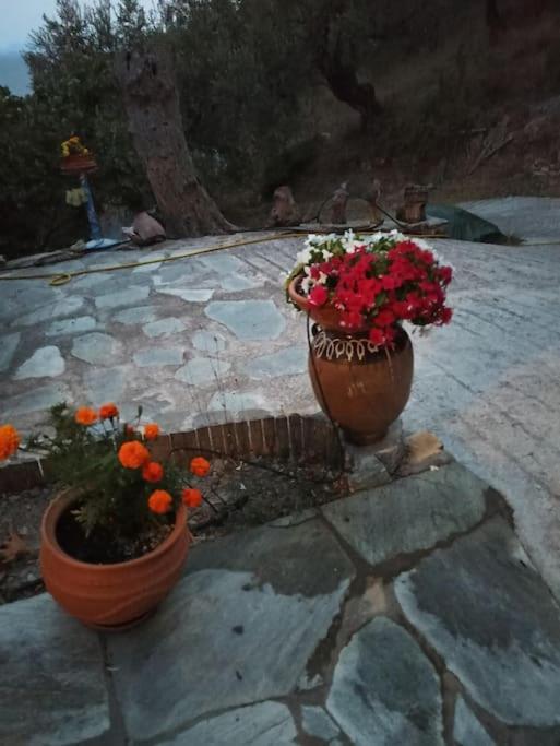 Pelion Mountain & Sea Villa - Private Studio Ano Gatzea Exterior foto