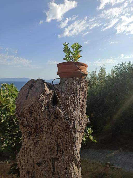 Pelion Mountain & Sea Villa - Private Studio Ano Gatzea Exterior foto
