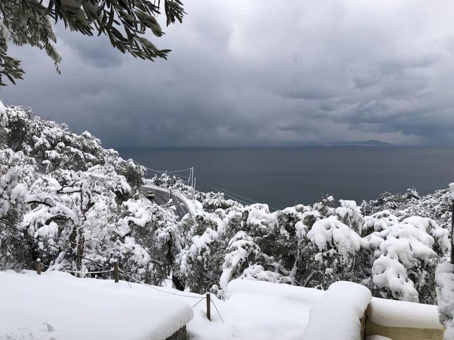 Pelion Mountain & Sea Villa - Private Studio Ano Gatzea Exterior foto