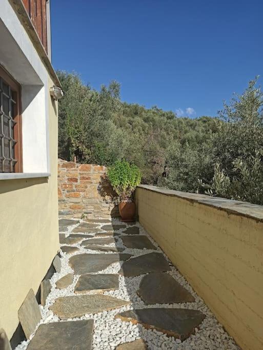 Pelion Mountain & Sea Villa - Private Studio Ano Gatzea Exterior foto