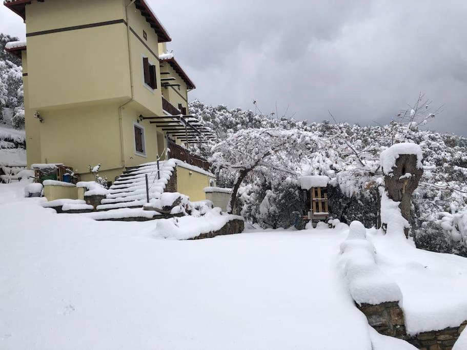 Pelion Mountain & Sea Villa - Private Studio Ano Gatzea Exterior foto